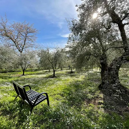 Villa Sleeps 13 Near Cortona & Montepulciano Gioiella