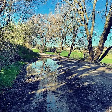 Magical Di Gioia Large 6-bedroom Family With Breathtaking Views, Private Garden And Olive Grove - In A Cool Village On The Umbria Tuscany Border Villa Gioiella