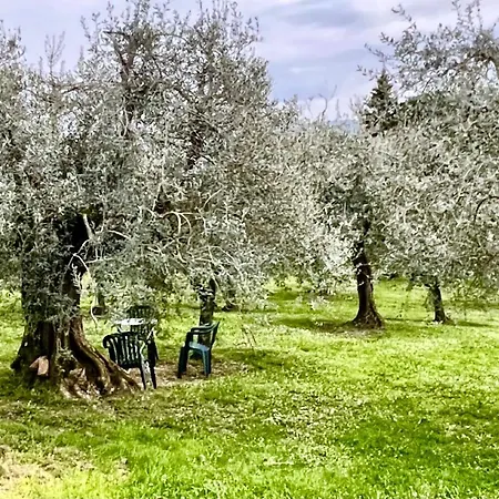Magical Villa, Breathtaking Views, Large Private Garden And Olive Grove - In A Cool Village On The Umbria Tuscany Border Villa