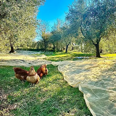 Sleeps 13 Near Cortona & Montepulciano Gioiella